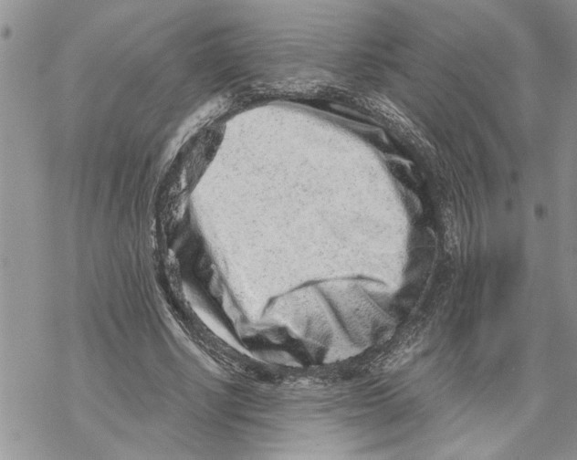 X0000069830634200606091447