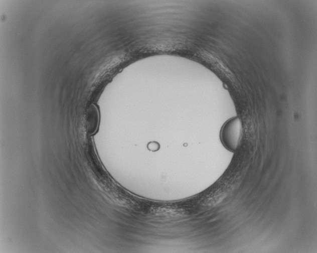 X0000069830635200606091447