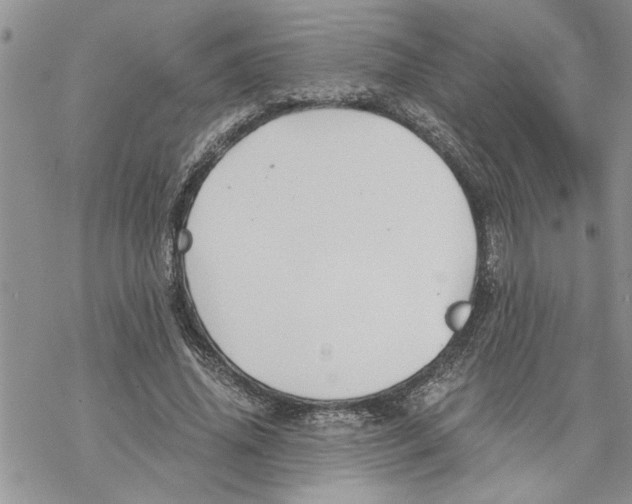 X0000069830636200606091447