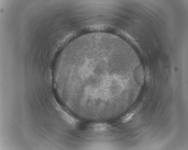 X0000069830637200606091447