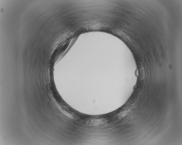 X0000069830638200606091447