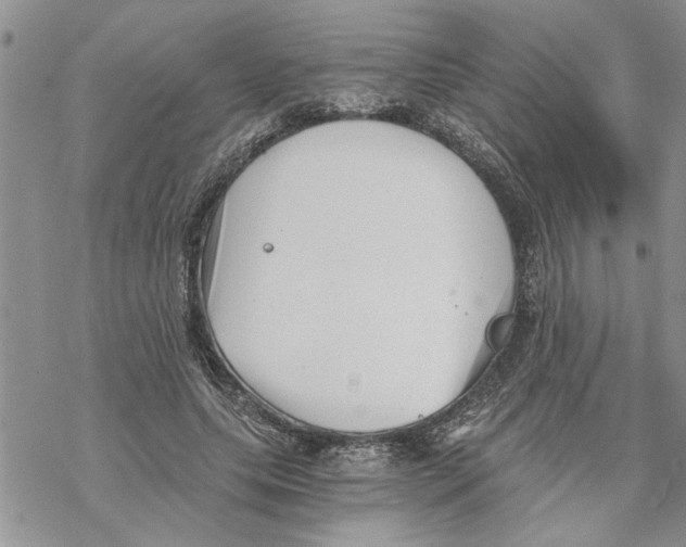 X0000069830639200606091447