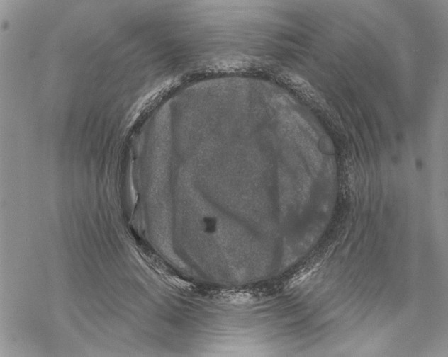 X0000069830640200606091447