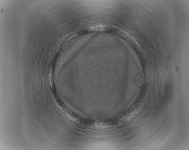 X0000069830641200606091447