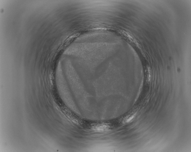 X0000069830643200606091447