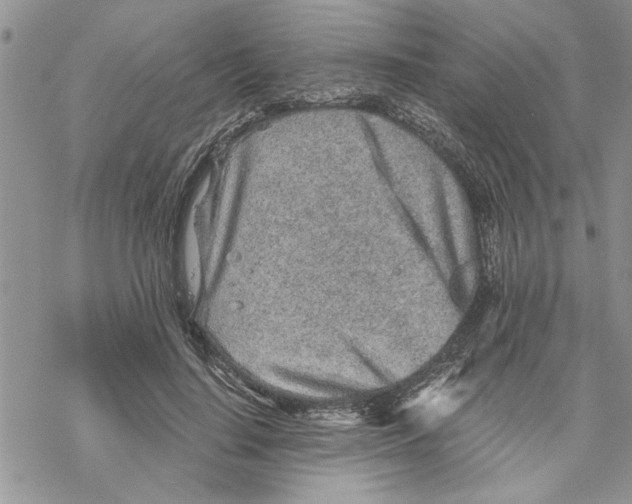 X0000069830644200606091447