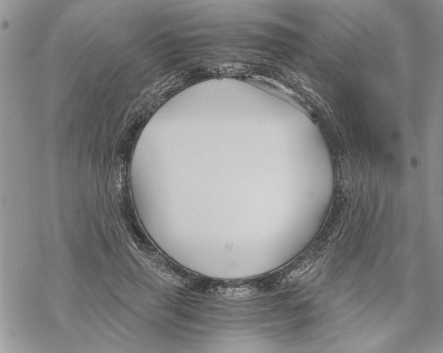 X0000069830645200606091447