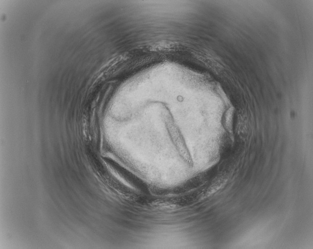 X0000069830648200606091447