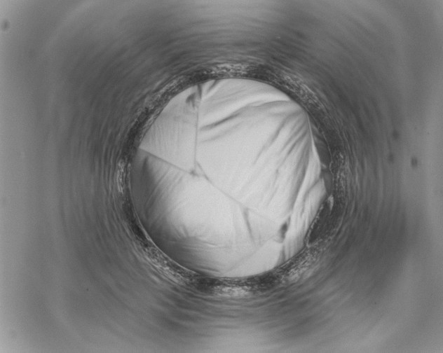 X0000069830649200606091447