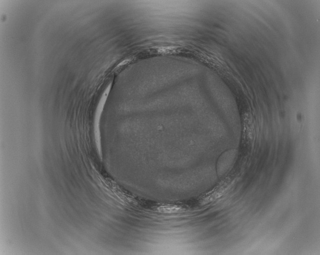 X0000069830650200606091447