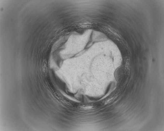 X0000069830651200606091447