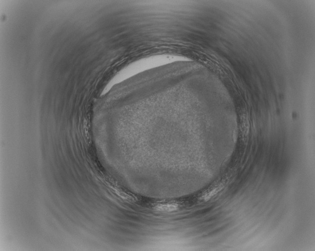 X0000069830653200606091447