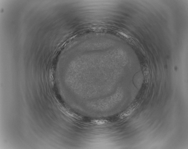 X0000069830654200606091447