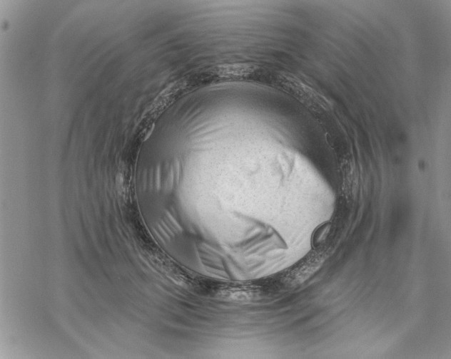 X0000069830655200606091447