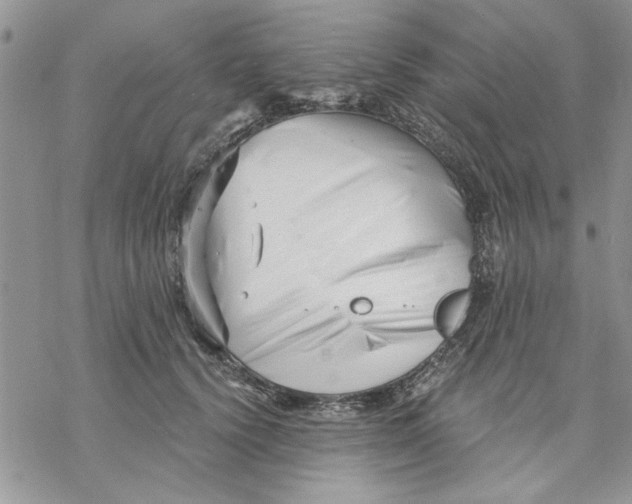 X0000069830656200606091447