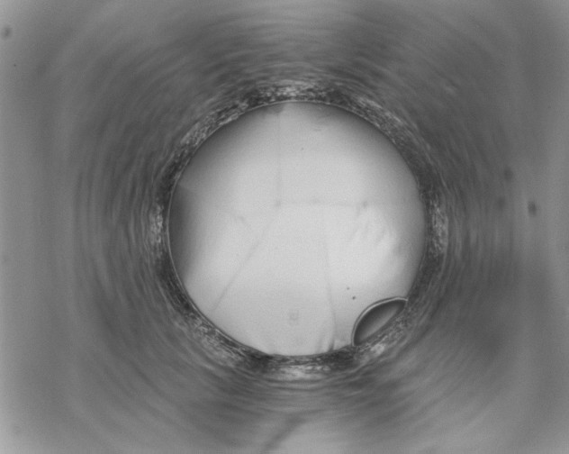 X0000069830657200606091447