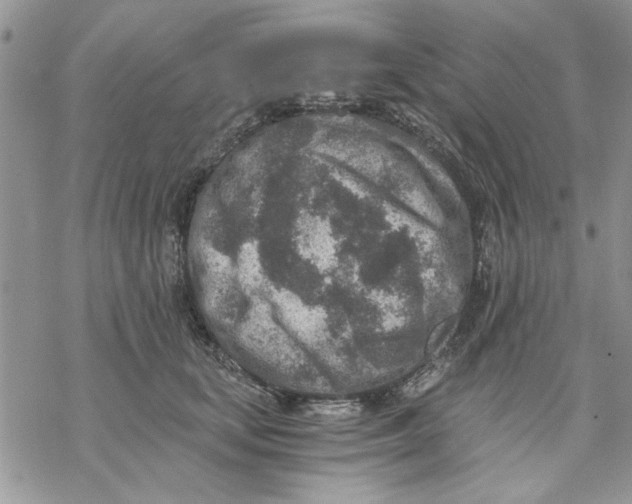 X0000069830659200606091447