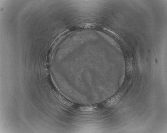 X0000069830661200606091447