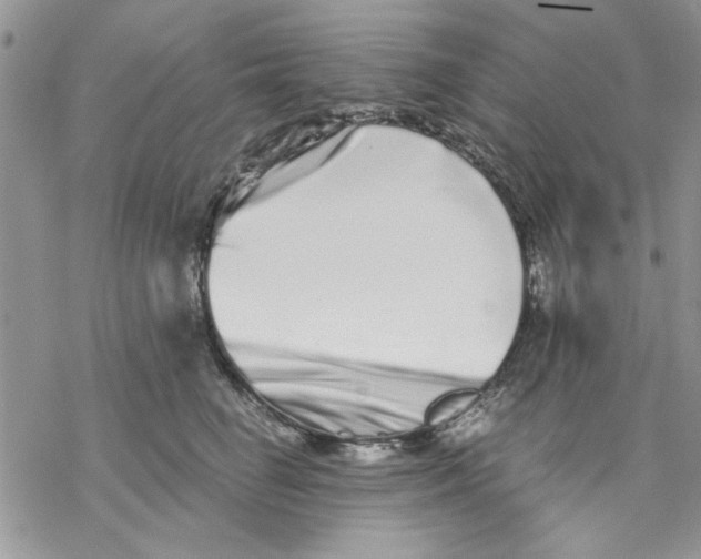 X0000069830662200606091447