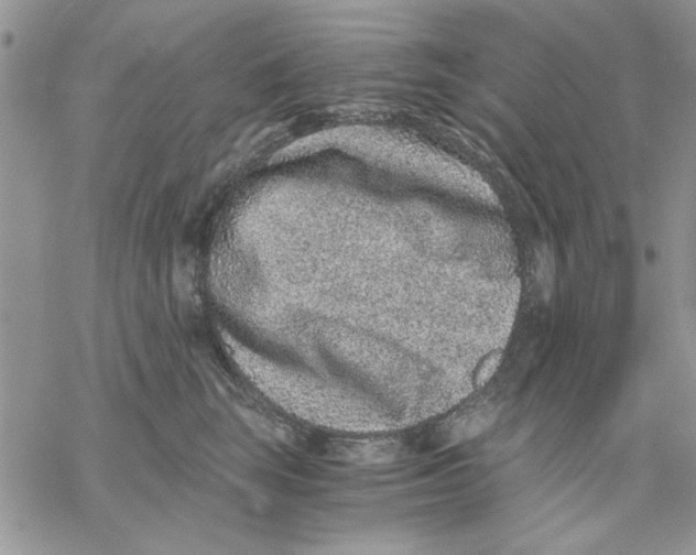 X0000069830663200606091447