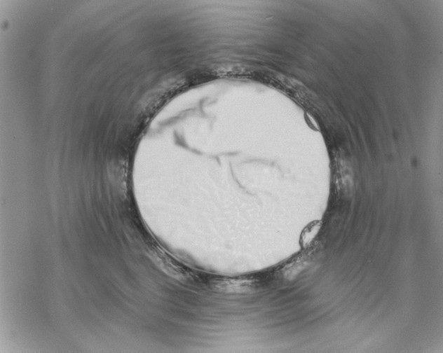 X0000069830664200606091447