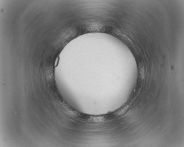 X0000069830665200606091447