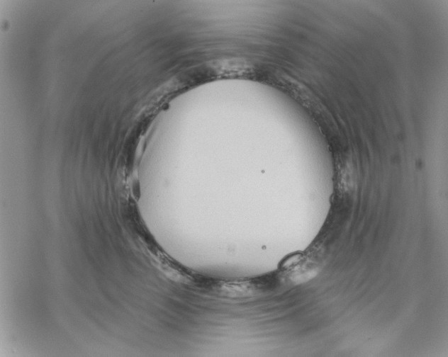 X0000069830666200606091447