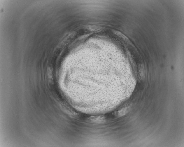 X0000069830667200606091447