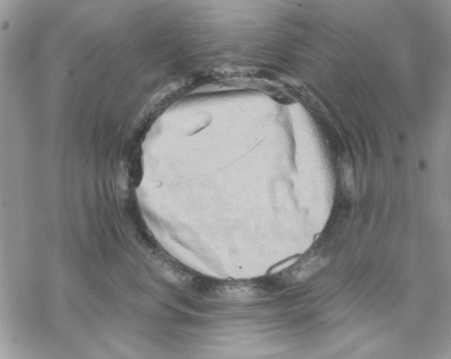 X0000069830668200606091447