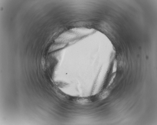 X0000069830669200606091447