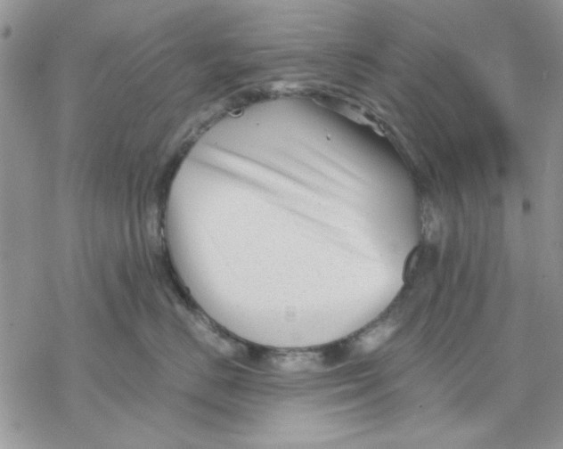 X0000069830670200606091447