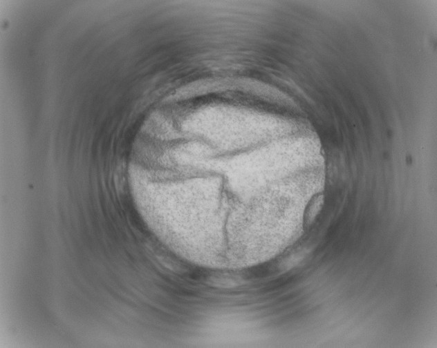 X0000069830671200606091447