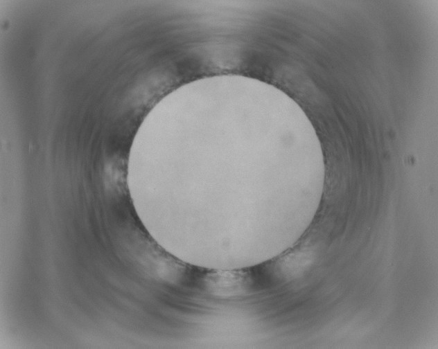 X0000069830672200606091447