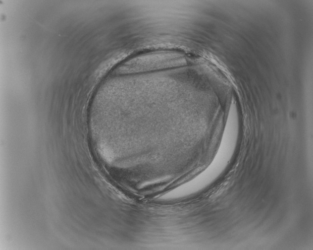 X0000069830673200606091446