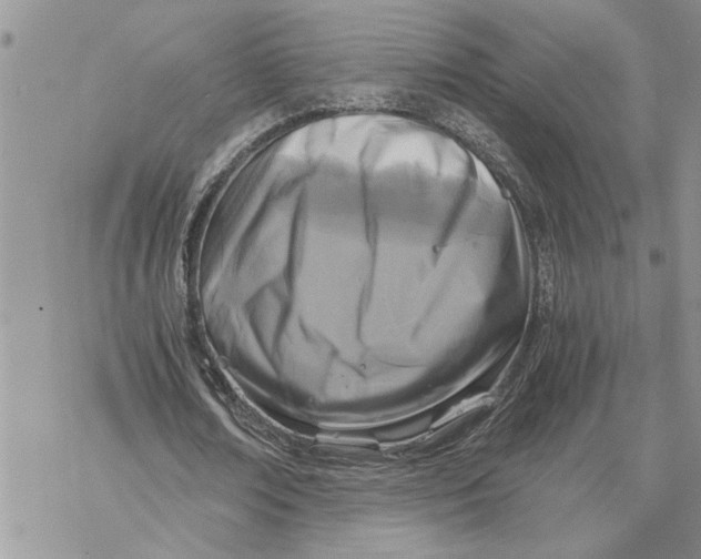 X0000069830674200606091446