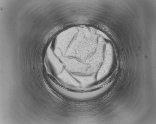 X0000069830677200606091446