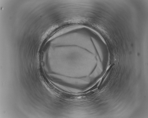 X0000069830678200606091446