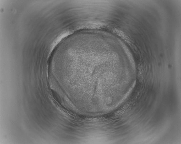 X0000069830679200606091446