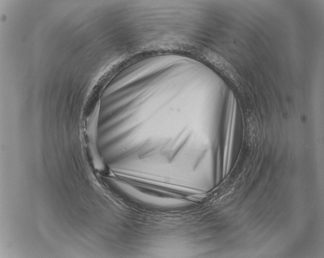 X0000069830680200606091446