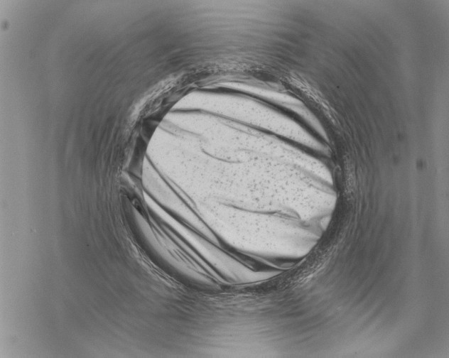 X0000069830681200606091446