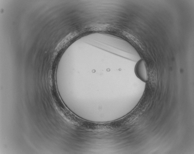 X0000069830682200606091446