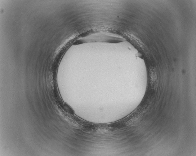 X0000069830684200606091446