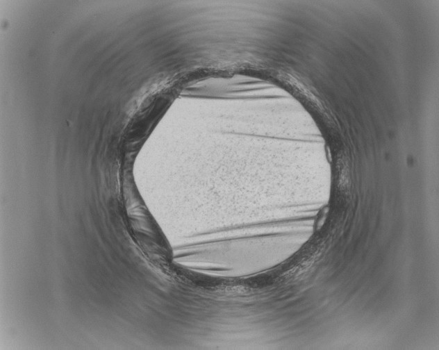 X0000069830685200606091446