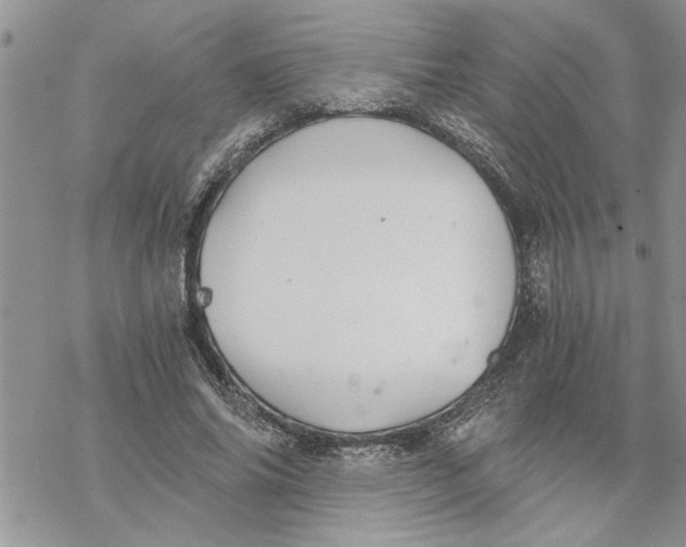 X0000069830686200606091446