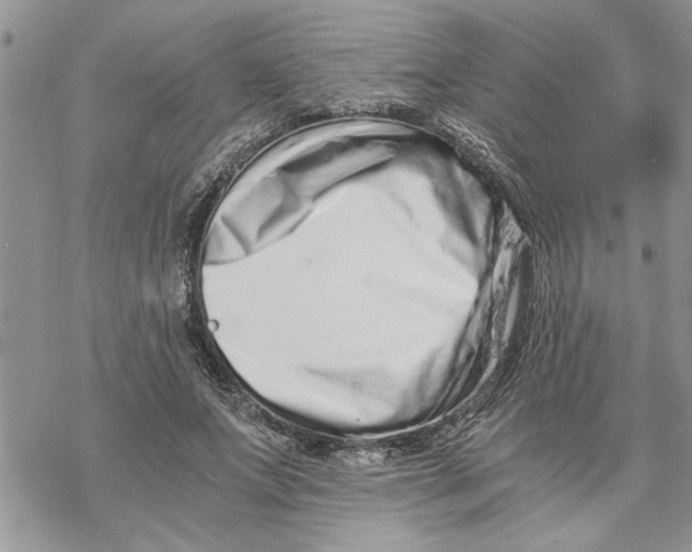 X0000069830687200606091446