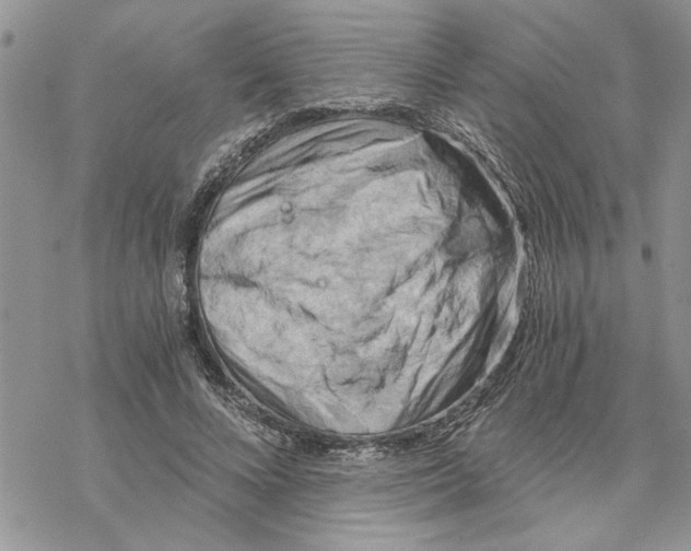 X0000069830688200606091446