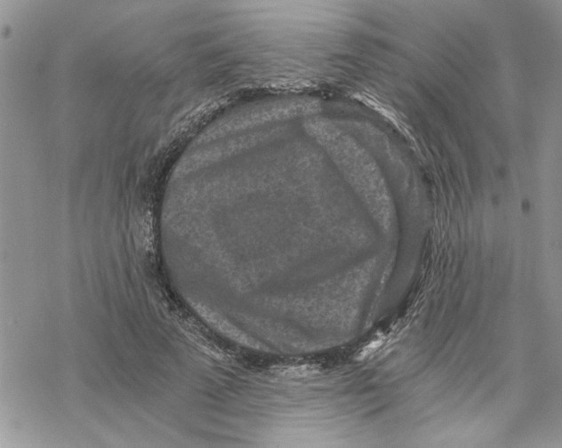 X0000069830689200606091446