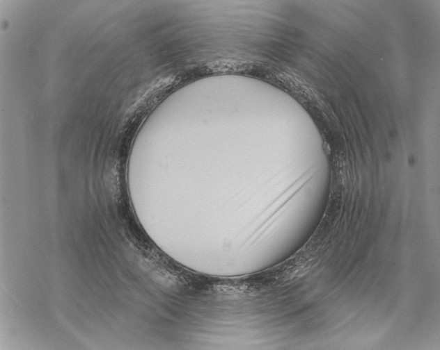 X0000069830690200606091446