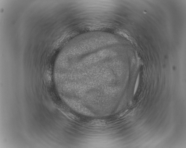 X0000069830691200606091446