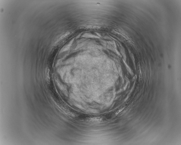 X0000069830692200606091446